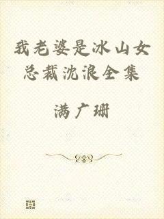 我老婆是冰山女总裁沈浪全集