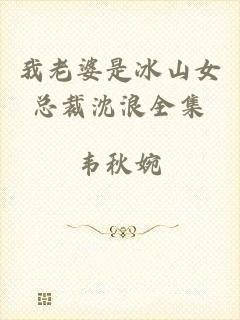 我老婆是冰山女总裁沈浪全集