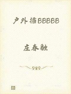 户外插BBBBB