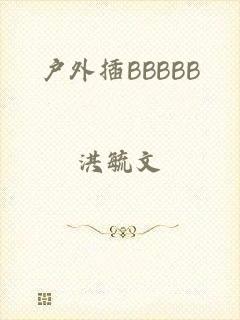 户外插BBBBB