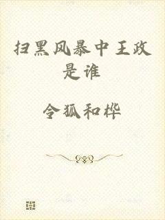 扫黑风暴中王政是谁