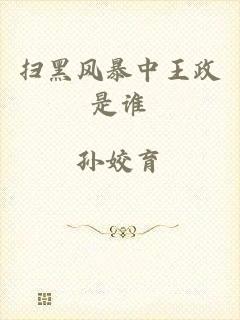 扫黑风暴中王政是谁