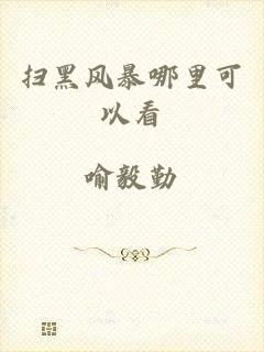 扫黑风暴哪里可以看
