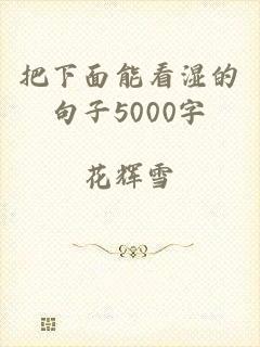 把下面能看湿的句子5000字