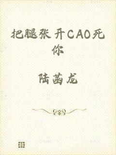 把腿张开CAO死你