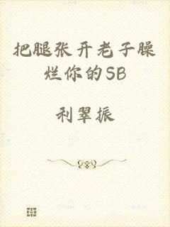 把腿张开老子臊烂你的SB