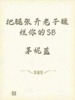 把腿张开老子臊烂你的SB