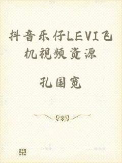 抖音乐仔LEVI飞机视频资源