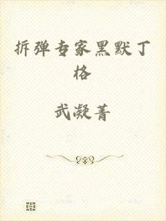 拆弹专家黑默丁格