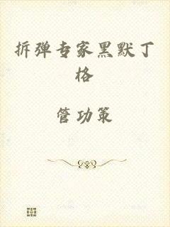 拆弹专家黑默丁格