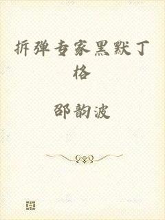 拆弹专家黑默丁格