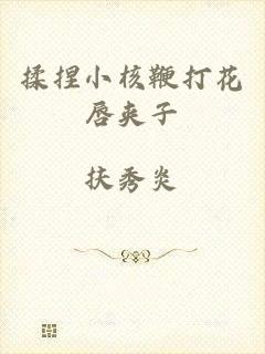 揉捏小核鞭打花唇夹子