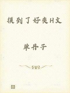 摸到了好爽H文