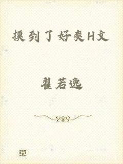 摸到了好爽H文