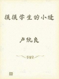 摸摸学生的小缝