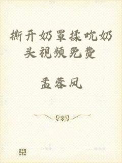 撕开奶罩揉吮奶头视频免费
