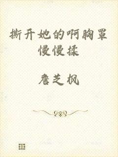 撕开她的啊胸罩慢慢揉