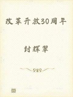 改革开放30周年
