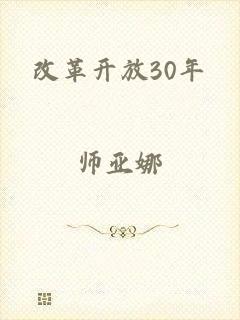 改革开放30年