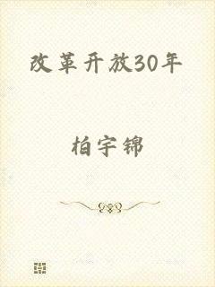 改革开放30年