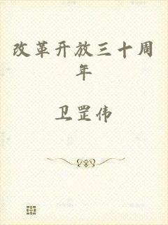 改革开放三十周年