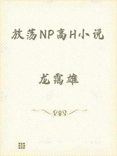放荡NP高H小说