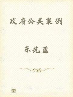 政府公关案例
