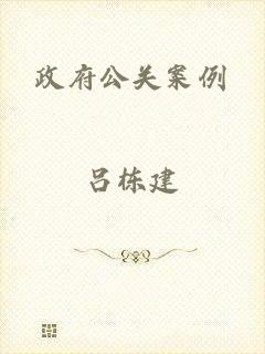 政府公关案例