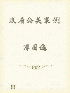 政府公关案例