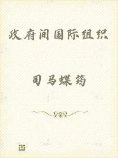 政府间国际组织