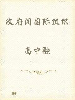 政府间国际组织