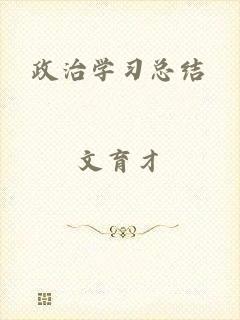 政治学习总结