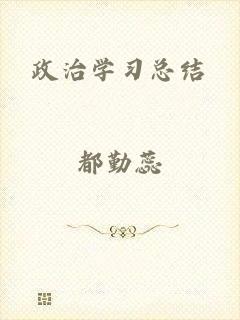 政治学习总结