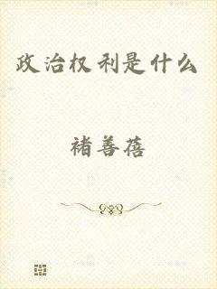 政治权利是什么