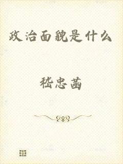 政治面貌是什么