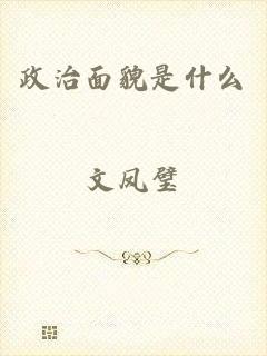 政治面貌是什么
