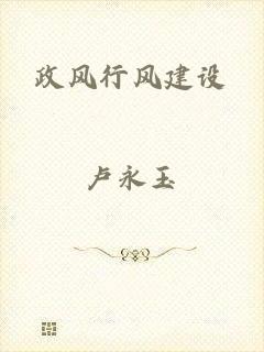 政风行风建设