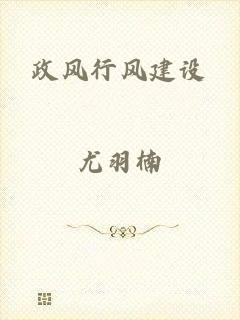 政风行风建设