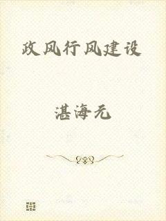 政风行风建设