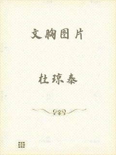 文胸图片