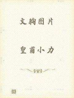 文胸图片