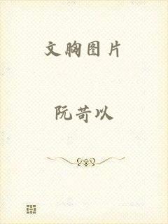 文胸图片
