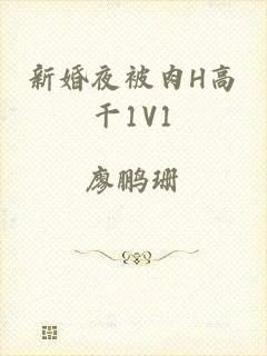 新婚夜被肉H高干1V1