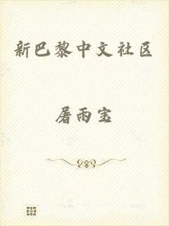 新巴黎中文社区