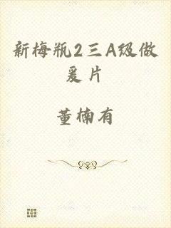 新梅瓶2三A级做爰片