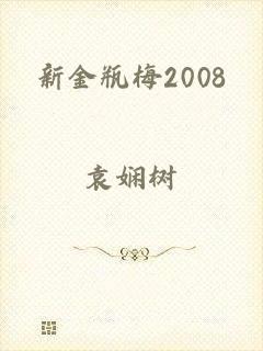 新金瓶梅2008