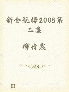 新金瓶梅2008第二集