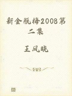 新金瓶梅2008第二集