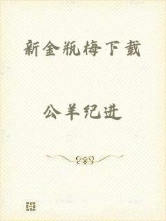 新金瓶梅下载