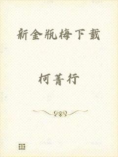 新金瓶梅下载